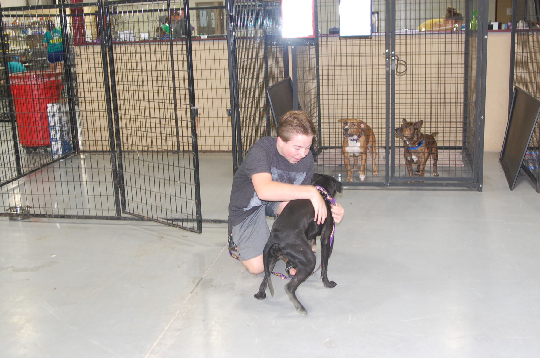 Piedmont animal rescue (20).JPG